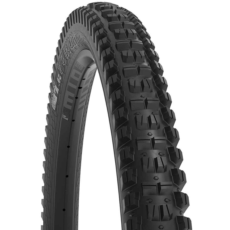 WTB Judge tire