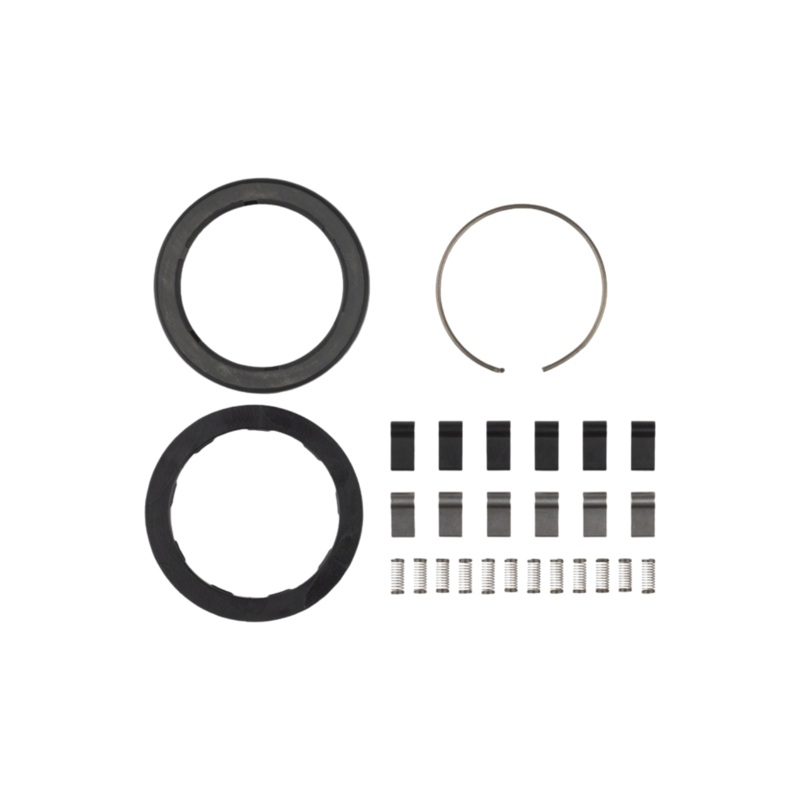 Zipp Spring and Pawl Set (Includes 12 Coil Springs, 12 Pawls, Driver Body Seal And A Round Wire Snap Ring)