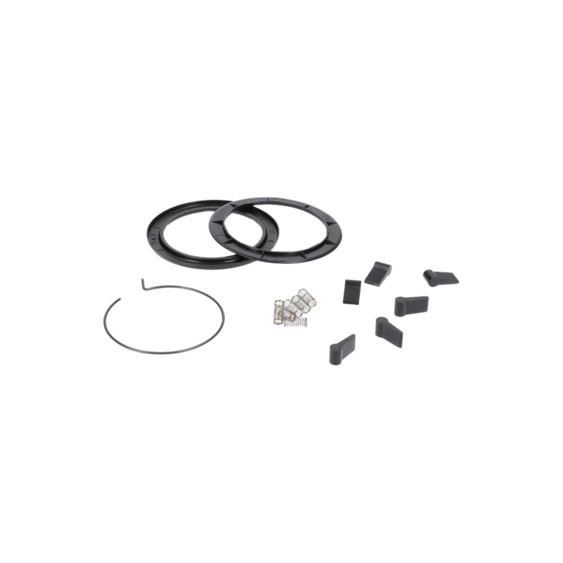 Zipp Spring and Pawl Set (Includes 6 Coil Spring, 6 Pawls, Driver Body Seal And A Round Wire Snap Ring)