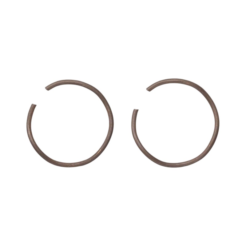 Zipp SERVICE – Wave spring COGNITION NSW axle