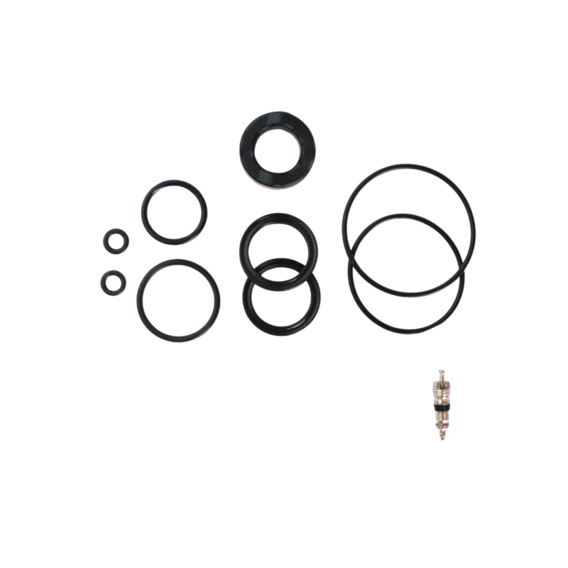 Cannondale Lefty Iso 100 Hour Seals Seal Kit