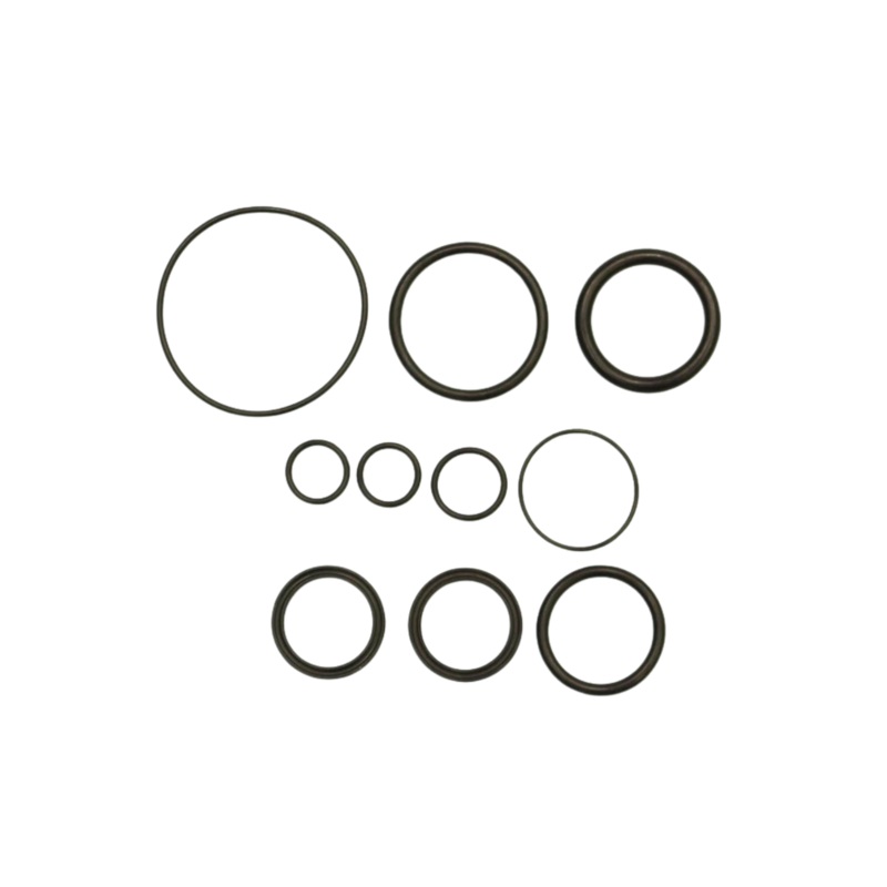 Cannondale Lefty Ocho 100 Hour Seals